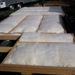 Subfloor Insulation Subfloor insulation