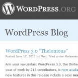 WP 3
