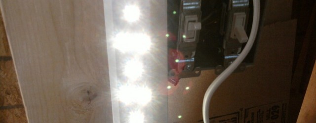 Working lights