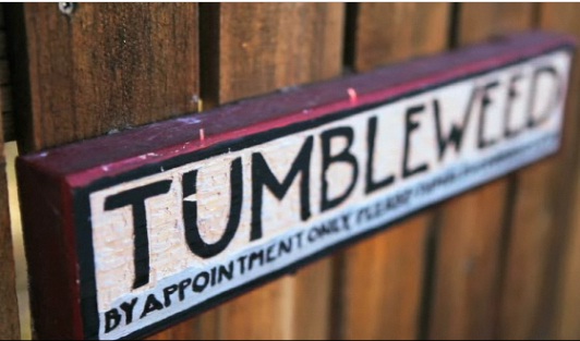 Tumbleweed Logo Tumbleweed Logo