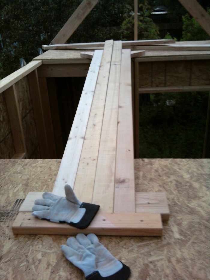 Tiny House Roofing Tiny House Cat Walk